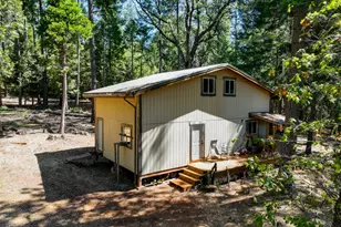 14843 Youngs Hill Rd, Camptonville, CA 95922 - Photo 44