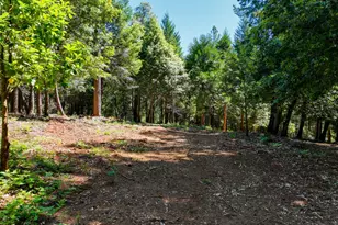 14843 Youngs Hill Rd, Camptonville, CA 95922 - Photo 84
