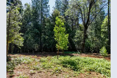 14843 Youngs Hill Road, Camptonville, CA 95922 - Photo 82