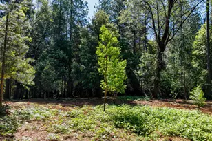 14843 Youngs Hill Rd, Camptonville, CA 95922 - Photo 82