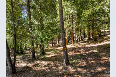 14843 Youngs Hill Road, Camptonville, CA 95922 - Photo 86