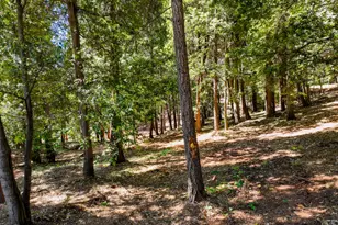 14843 Youngs Hill Rd, Camptonville, CA 95922 - Photo 86