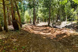 14843 Youngs Hill Rd, Camptonville, CA 95922 - Photo 76