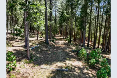 14843 Youngs Hill Road, Camptonville, CA 95922 - Photo 50