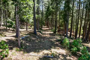 14843 Youngs Hill Rd, Camptonville, CA 95922 - Photo 50