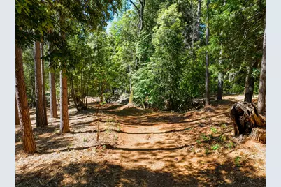 14843 Youngs Hill Road, Camptonville, CA 95922 - Photo 74