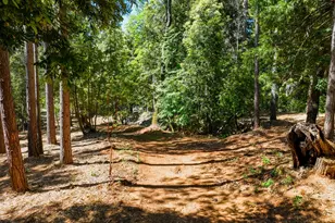 14843 Youngs Hill Rd, Camptonville, CA 95922 - Photo 74