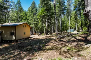 14843 Youngs Hill Rd, Camptonville, CA 95922 - Photo 54
