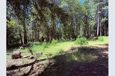 14700 N Bloomfield Road, Nevada City, CA 95959 - Photo 4