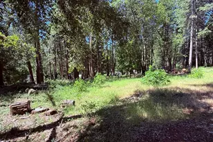 14700 N Bloomfield Rd, Nevada City, CA 95959 - Photo 4