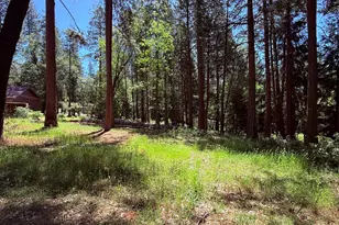14700 N Bloomfield Rd, Nevada City, CA 95959 - Photo 8