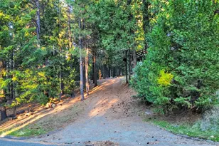5300 Pine Ridge Dr, Grizzly Flats, CA 95636 - Photo 32