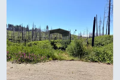 5110 Evergreen Drive, Grizzly Flats, CA 95636 - Photo 1