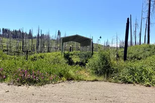 5110 Evergreen Dr, Grizzly Flats, CA 95636 - Photo 1