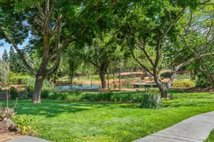 24203 Co Rd 22, Esparto, CA 95627 - Photo 10