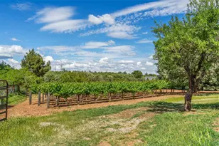 24203 Co Rd 22, Esparto, CA 95627 - Photo 18