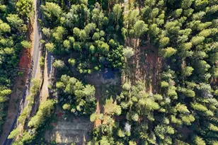 3353 Forbestown Rd, Oroville, CA 95966 - Photo 46