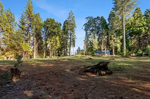 3353 Forbestown Rd, Oroville, CA 95966 - Photo 30