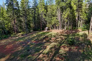 3353 Forbestown Rd, Oroville, CA 95966 - Photo 40
