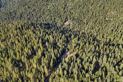 3353 Forbestown Road, Oroville, CA 95966 - Photo 50
