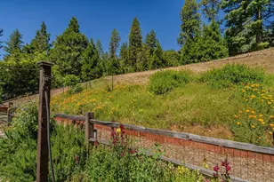 26845 Spring Ct, Pioneer, CA 95666 - Photo 64