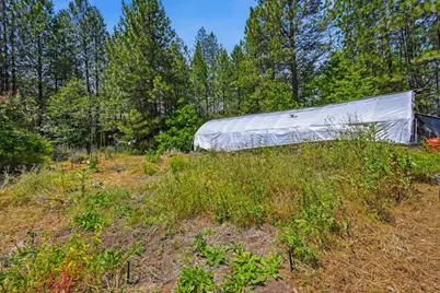 10200 Stotler Avenue, North San Juan, CA 95960 - Photo 48