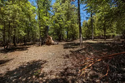 3196 Pine Cone Court, Placerville, CA 95667 - Photo 8