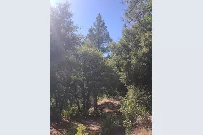 8679 Hilory Lane, Dobbins, CA 95935 - Photo 10