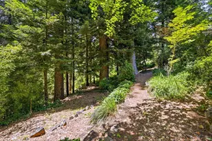417 Chapel St, Grass Valley, CA 95945 - Photo 38