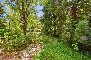 417 Chapel St, Grass Valley, CA 95945 - Photo 36