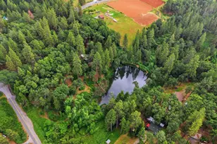 18339 Colfax Hwy, Grass Valley, CA 95945 - Photo 74
