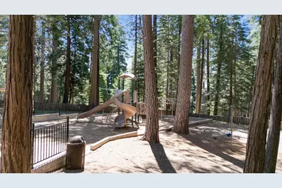 3884 Opal Trail, Pollock Pines, CA 95726 - Photo 50