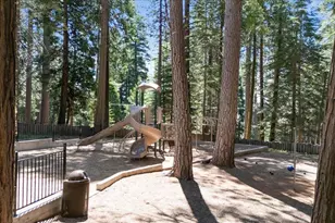 3884 Opal Trail, Pollock Pines, CA 95726 - Photo 50