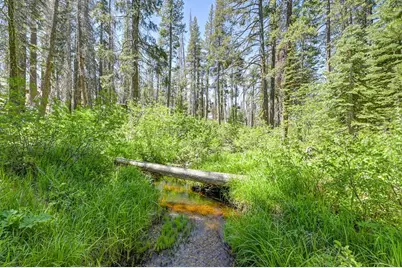 20760 US Highway 50, South Lake Tahoe, CA 96150 - Photo 6