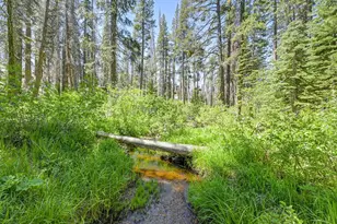 20760 US Hwy 50, South Lake Tahoe, CA 96150 - Photo 6