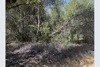 0 French Gulch Road, Murphys, CA 95247 - Photo 14