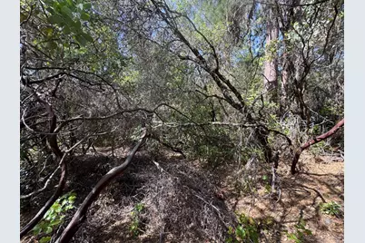 0 French Gulch Road, Murphys, CA 95247 - Photo 16