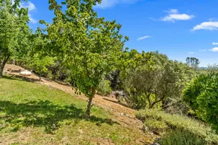 5045 Free Fox Ln, Placerville, CA 95667 - Photo 68