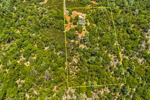 5045 Free Fox Ln, Placerville, CA 95667 - Photo 8