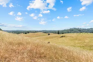 12850 Fiddletown Rd, Fiddletown, CA 96269 - Photo 28