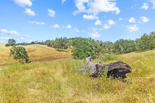 12850 Fiddletown Rd, Fiddletown, CA 96269 - Photo 80