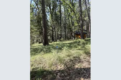 13987 Lee Lane, Nevada City, CA 95959 - Photo 18
