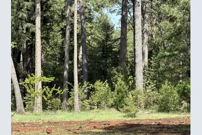 13987 Lee Lane, Nevada City, CA 95959 - Photo 4