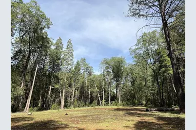 13987 Lee Lane, Nevada City, CA 95959 - Photo 20