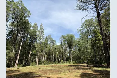 13987 Lee Lane, Nevada City, CA 95959 - Photo 2