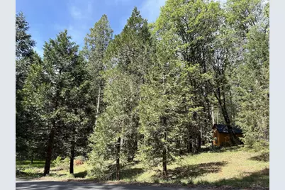 13987 Lee Lane, Nevada City, CA 95959 - Photo 1