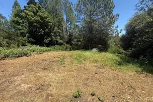 13462 Moonshine Rd, Camptonville, CA 95922 - Photo 16