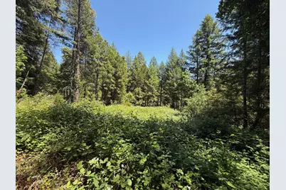 13462 Moonshine Road, Camptonville, CA 95922 - Photo 20