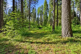 22929 Missouri Ridge, Nevada City, CA 95959 - Photo 54