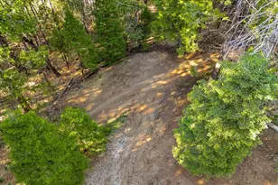 22929 Missouri Ridge, Nevada City, CA 95959 - Photo 50